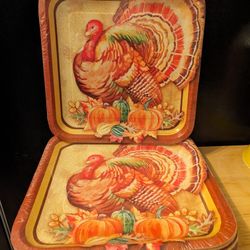 40 New Turkey Paper Plates