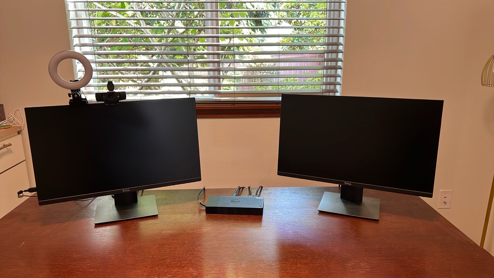Dell Dual Monitors W/ Docking Station, Web Can and ring Light
