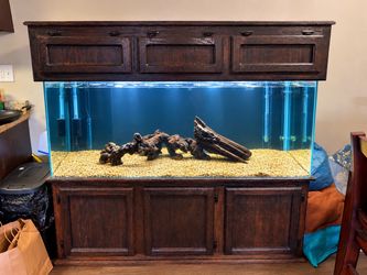 Fish tank