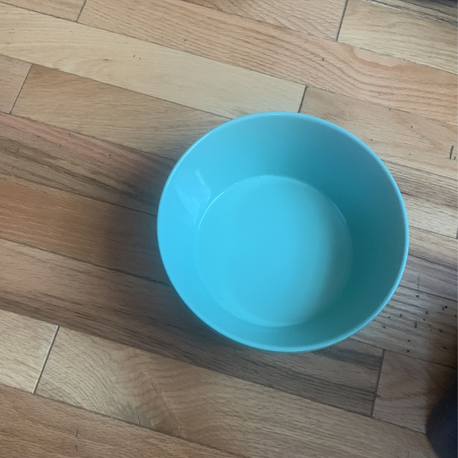 2 New small Doggy bowls