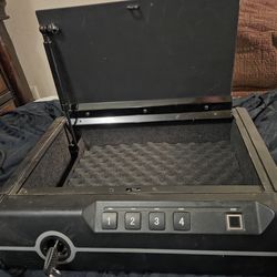 Biometric safe for handguns ect