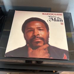 Marvin Gaye Vinyl