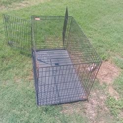 Kong Dog Crate