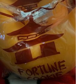 Fortune Cookie Bag