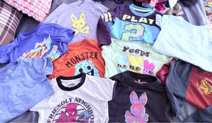 Toddler Boy Clothes Lot 18M–3T | Shirts, PJs, Pants, Swimwear & More