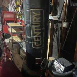 Stationary Boxing Bag