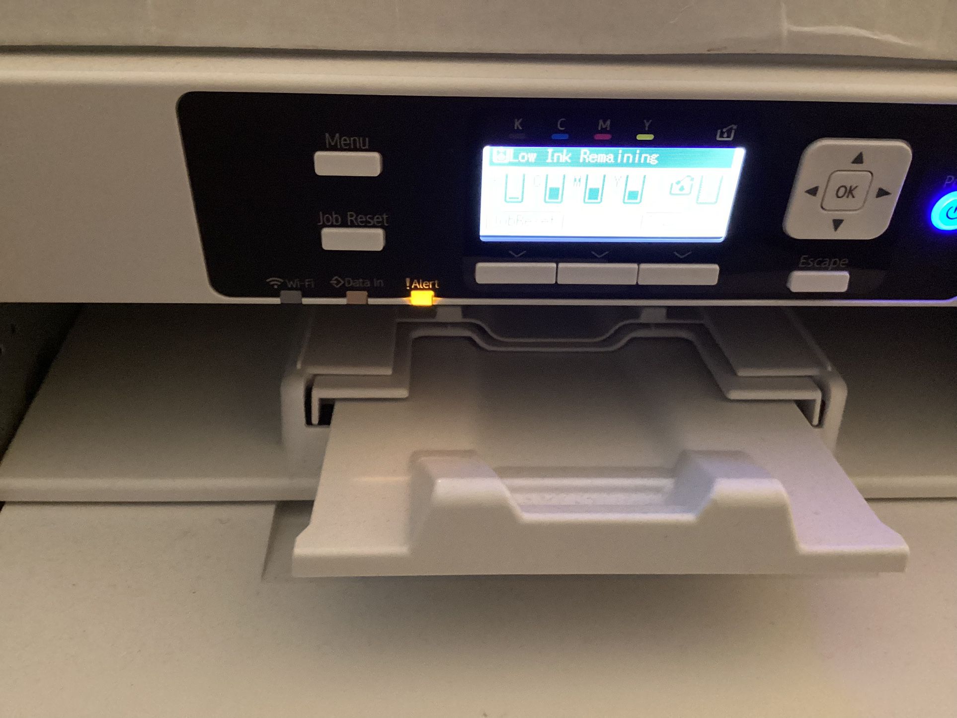 Saw Grass 1000 printer