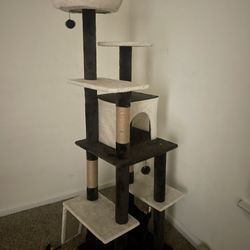 Cat Tree