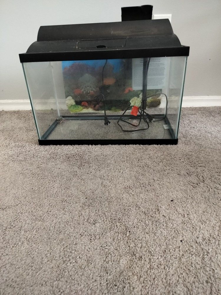 Only Fish Tank