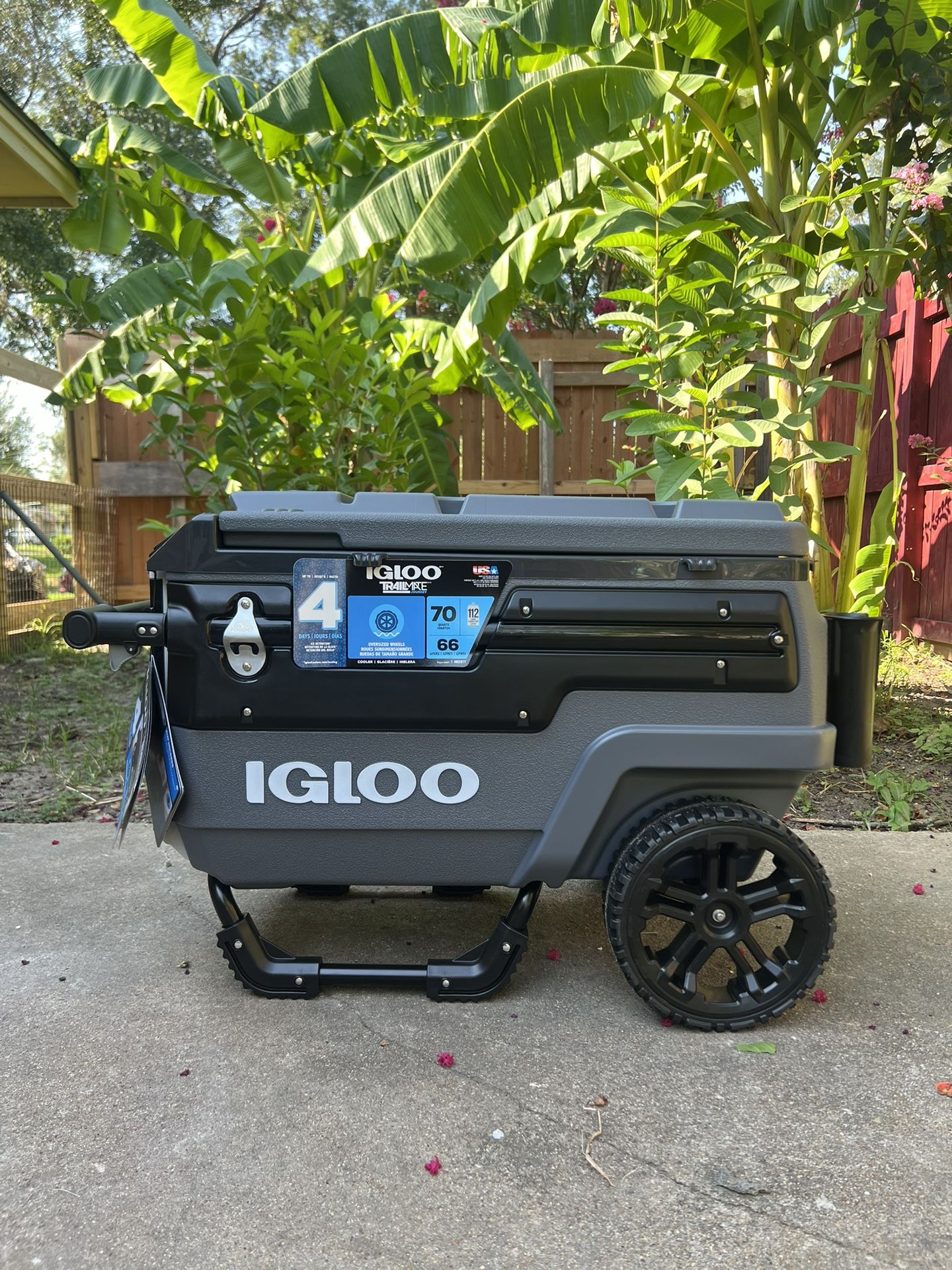 Igloo Coolers