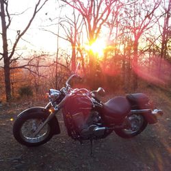 2009 Honda Shadow  Aero 750