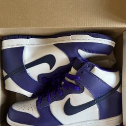 Nike Dunks Hi GS 7 Purple 