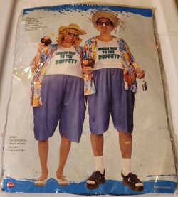 Tacky Tourist Costume,  like New!
