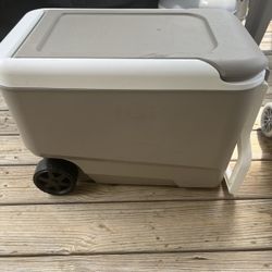 Roller cooler 