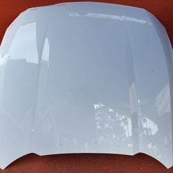 2024 2025 Ford Mustang Hood Bonnet Panel Shell OEM 