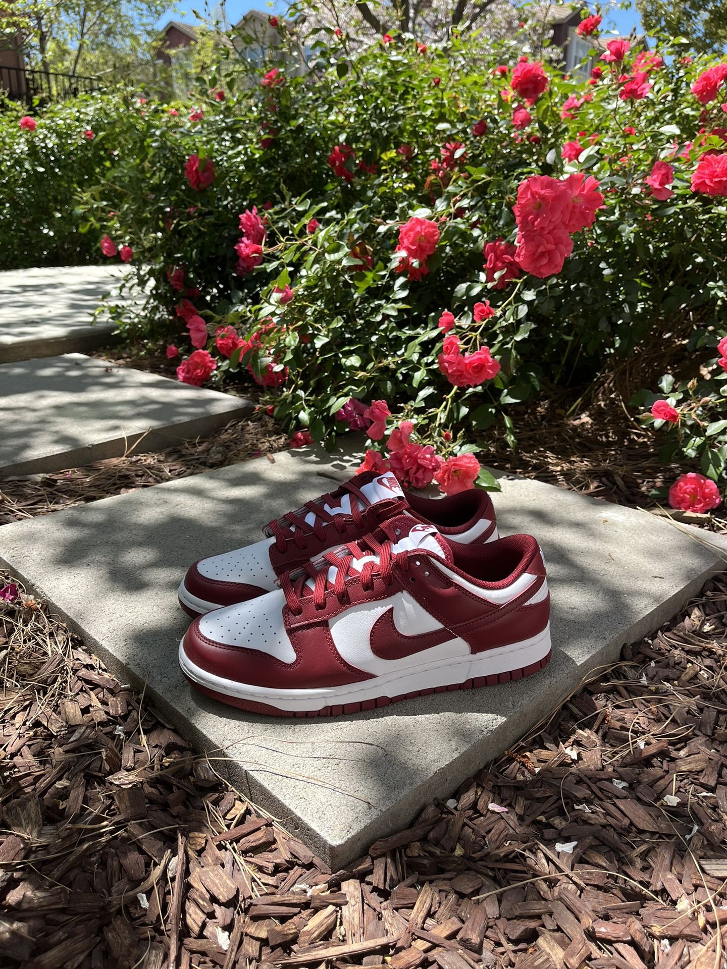 Nike Dunk Low Team Red 9.5M 10M