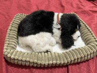 Poppy sleeping