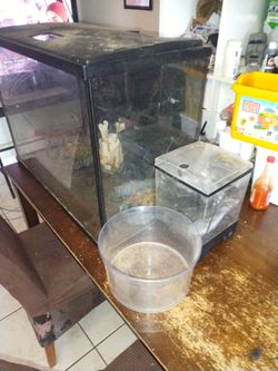 Fish tank