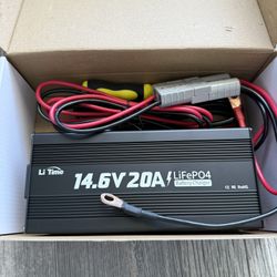 Litime Battery Charger 