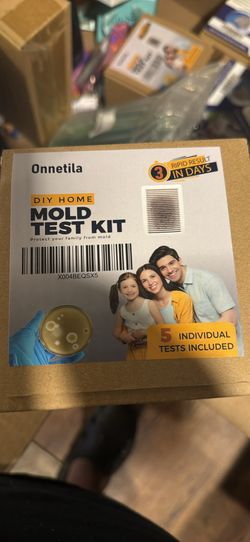 diy mold test kits 