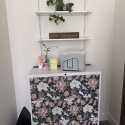 Filing Cabinet And Book Shelf 