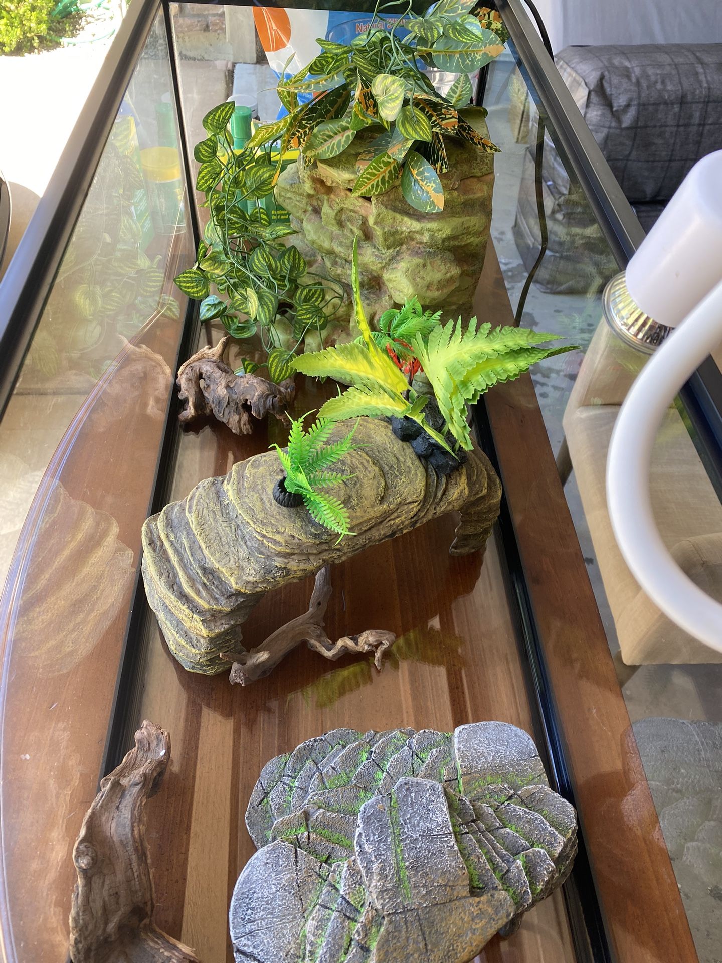 Beginner Aquarium Set (20 Gal)
