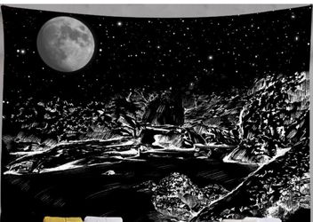 Black and White Tapestry 24x35in