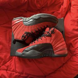 Air Jordan retro 12