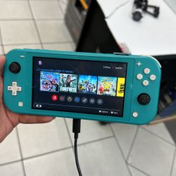 Nintendo Switch Lite handheld video game system!