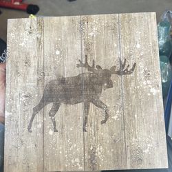 11 x 11 moose frame