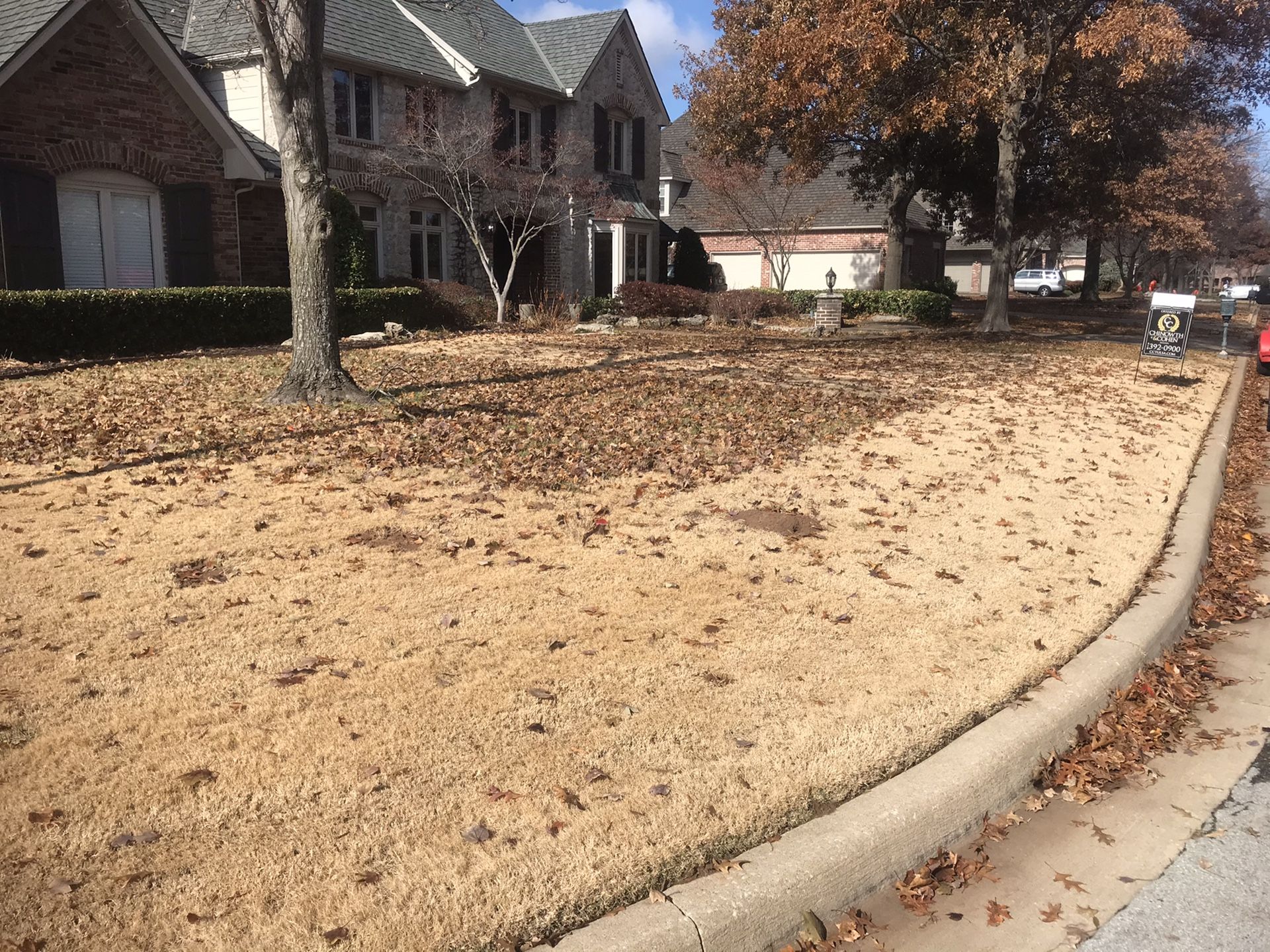 Leaf removal