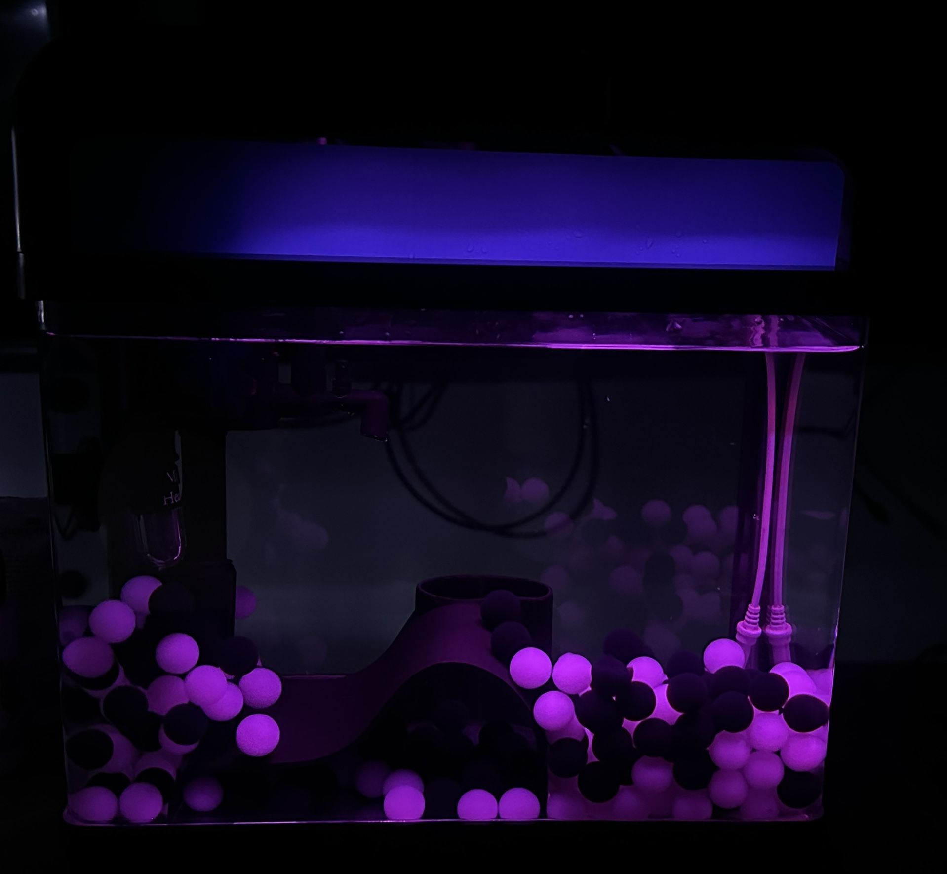 2.5 Gallon Smart Fish Tank - Fish Tank With Lights And Decorations