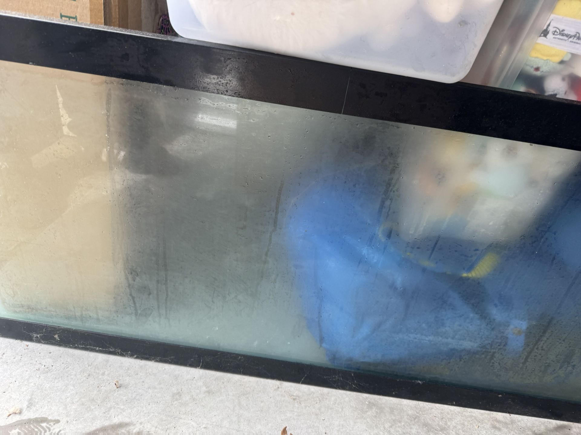 70 gallon fish aquarium