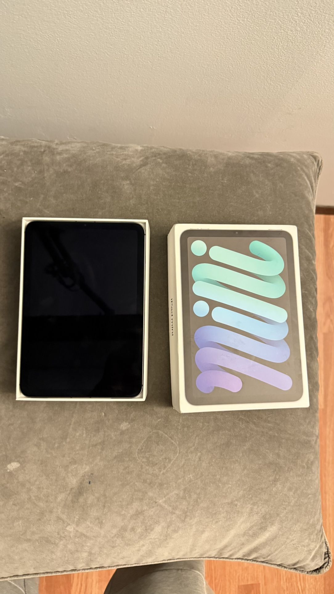 iPad Mini (6th Generation) 256 GB