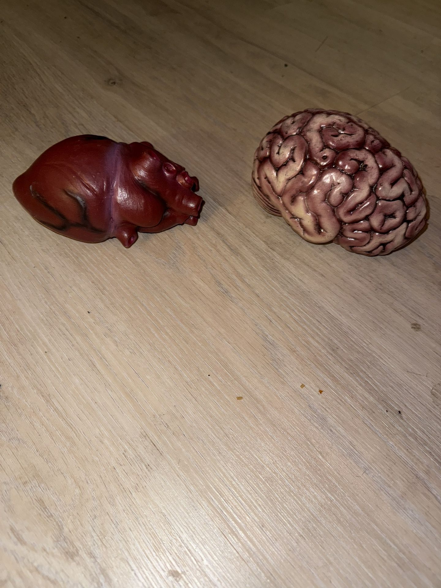 Brain & Heart 