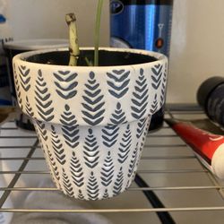 Plants Pots Clay Ceramic 