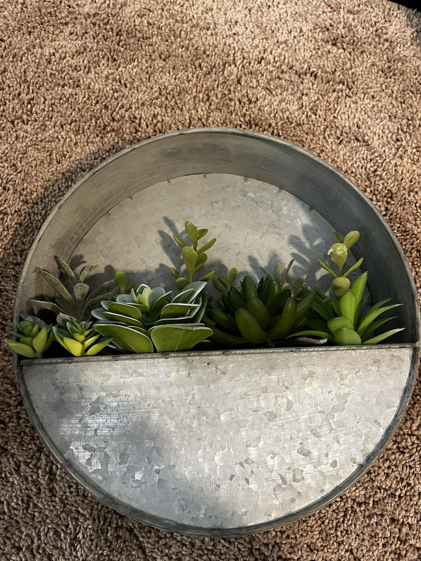 Succulent Plant Wall Decor