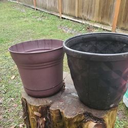 Plants  Pot