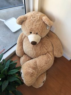 Large teddy bar