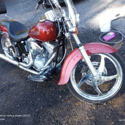 2006 Harley Davidson Softail