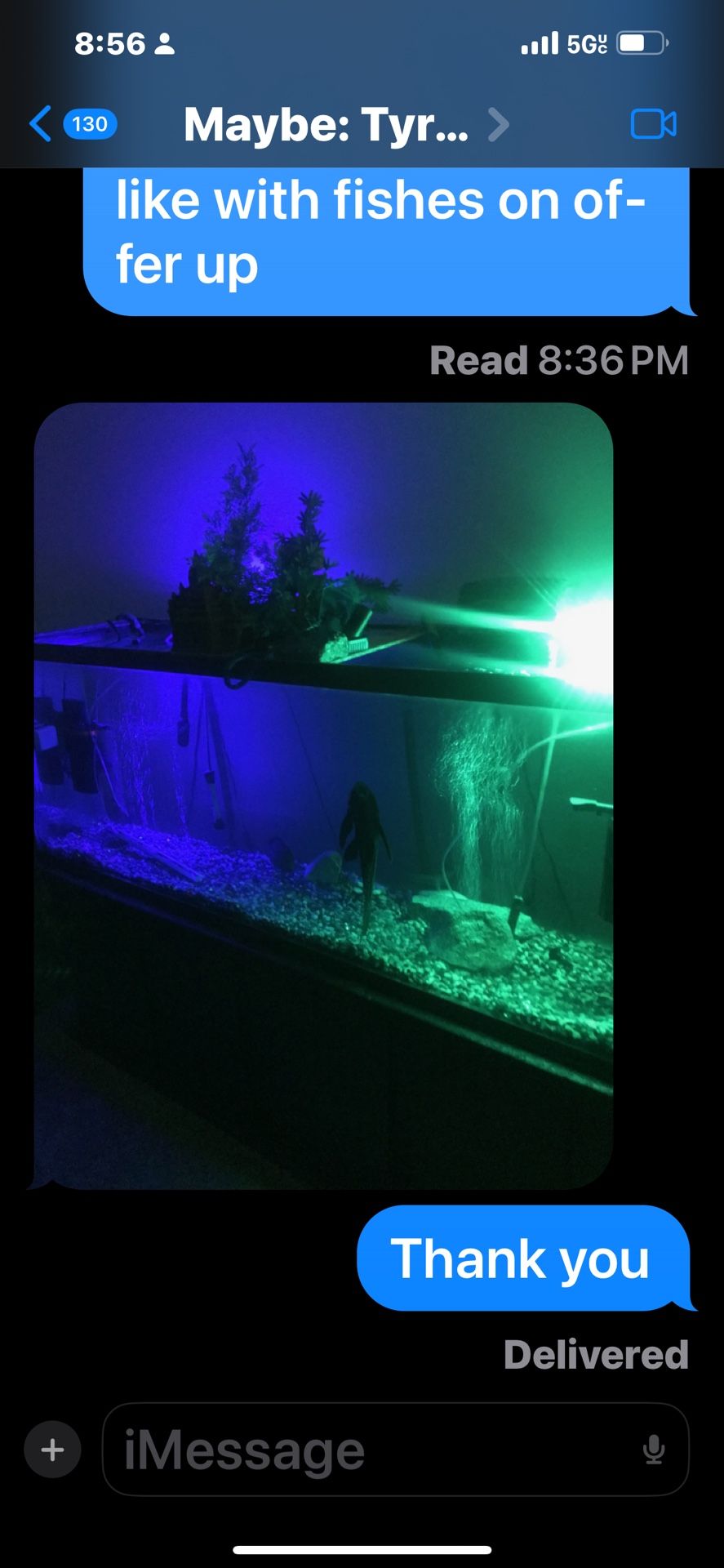 Fish Tank 4 Sale