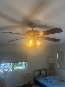 Hampton Fan with Remote