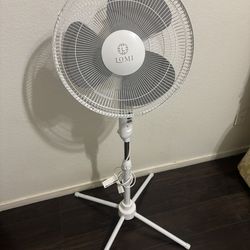 Pedestal fan