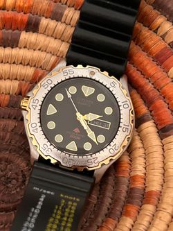Citizen promaster diver