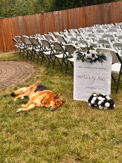 Dark purple green and white weddings stuff
