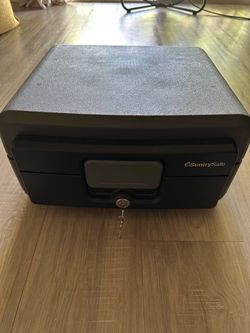 Fire/Water Sentry Safe