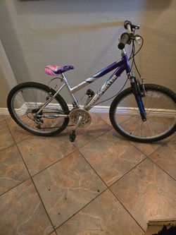 24 " bicycle