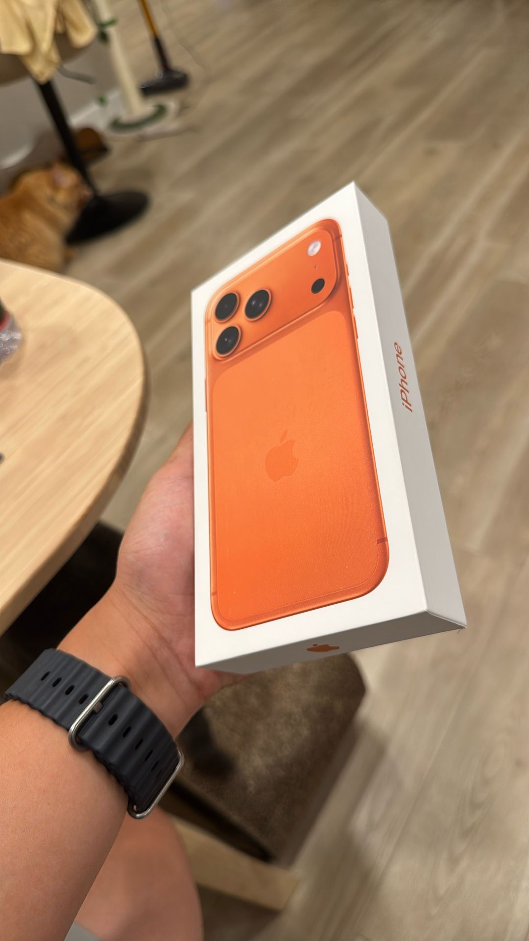 iPhone 17 Pro Max