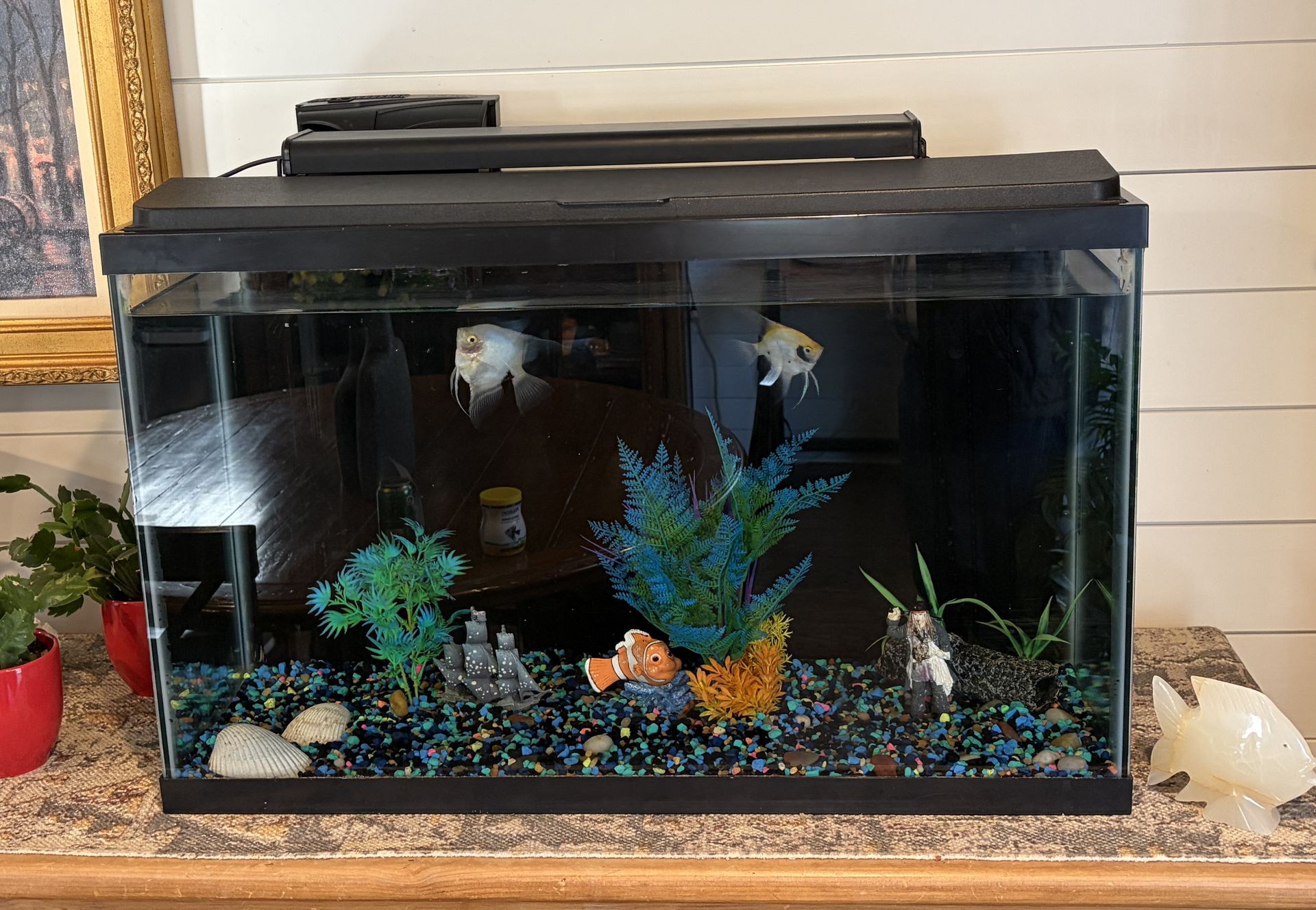 20 gal FISH TANK with 2 ANGEL FISH