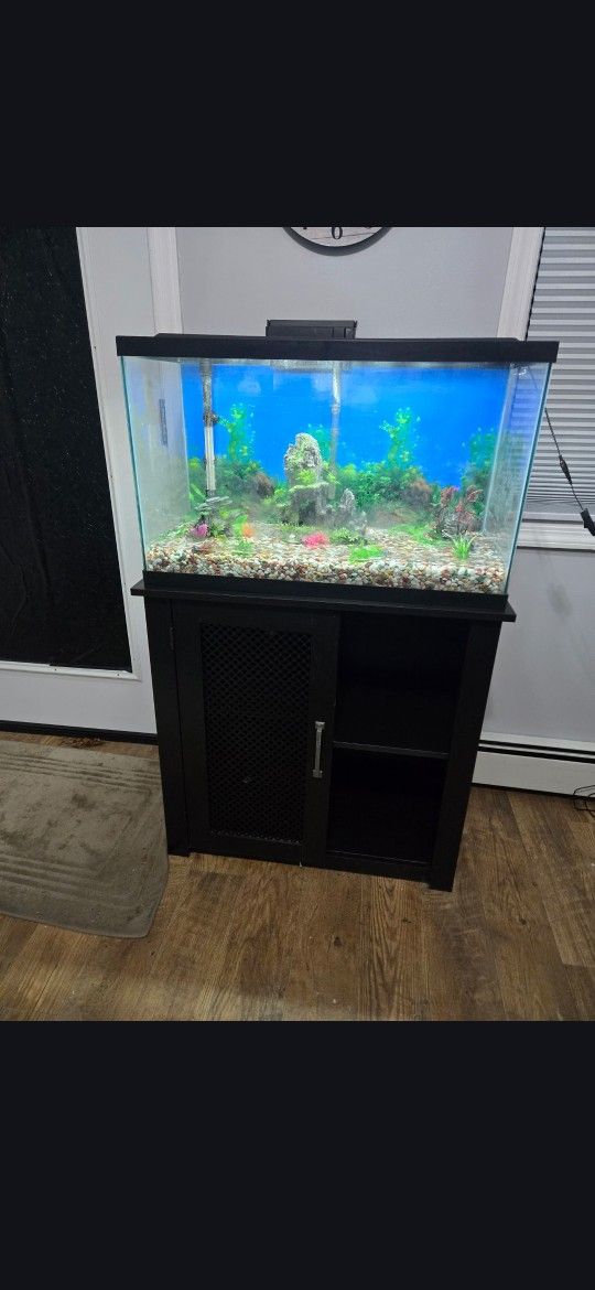 Fishtank Aquarium & stand